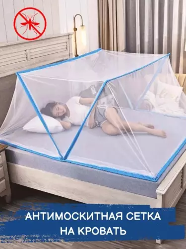 Pashshaxona